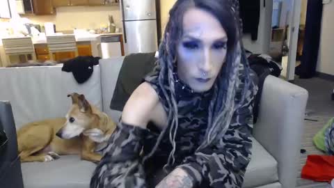 Kittie online show from 22, 12, 2024