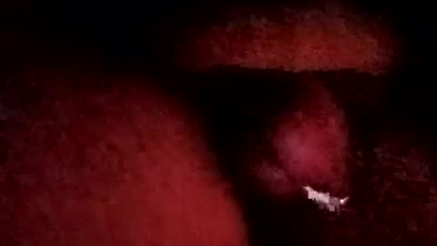 bcfalcon69 online show from 19, 1, 2026