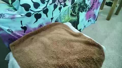 Snapshot of be4your_desire chatting on 6, 5, 2026 mikiforfun online show from 6, 5, 2026