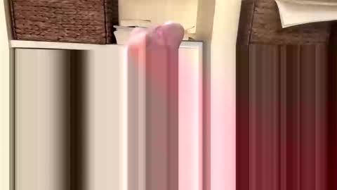 BeachGuy online show from 18, 11, 2025