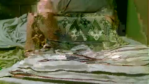 Snapshot of beagle1 chatting on 1, 11, 2025 beagle1 online show from 1, 11, 2025