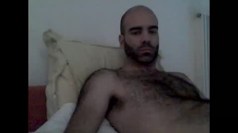 bear14250949 online show from 16, 11, 2025