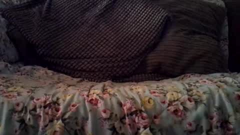 beatlebut online show from 16, 10, 2025