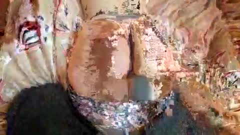 beccawillis online show from 3, 2, 2026