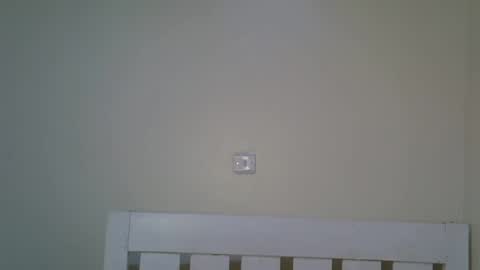 bedmaster_d online show from 7, 10, 2025