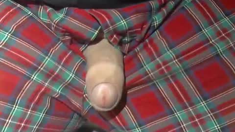  Reservoir Dogs online show from 21, 10, 2025