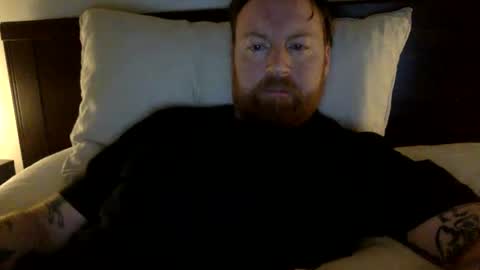 Beewolf online show from 13, 12, 2024