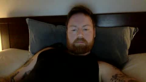 Beewolf online show from 14, 2, 2025