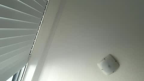 Snapshot of behindcloseddoorsau chatting on 26, 5, 2026 behindcloseddoorsau online show from 26, 5, 2026