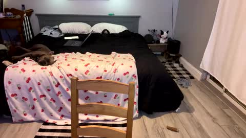 Snapshot of bellabeanz chatting on 1, 3, 2025 Roxy Rain online show from 1, 3, 2025