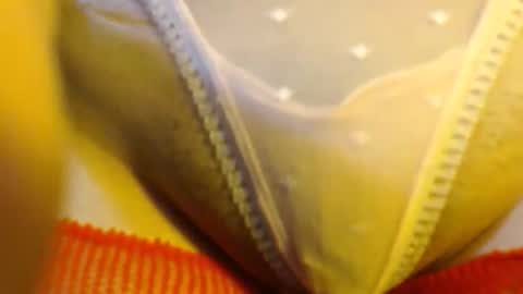 bellafox online show from 27, 5, 2026