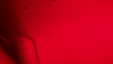 Belle xx online show from 9, 11, 2025