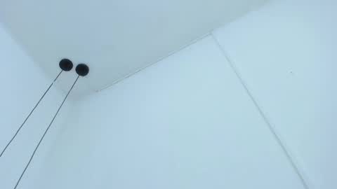 Bellota Flak online show from 11, 12, 2024