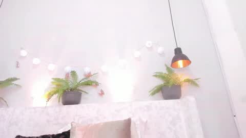 Bellota Flak online show from 5, 3, 2025