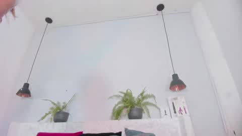 Bellota Flak online show from 7, 11, 2025