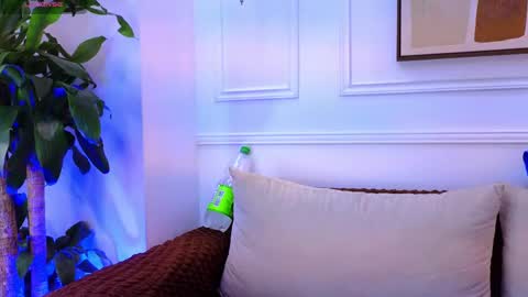 Snapshot of bennett_alejoo chatting on 19, 5, 2026 bennett_alejoo online show from 19, 5, 2026