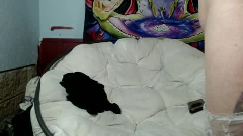 Snapshot of bentbunny21 chatting on 8, 7, 2026 Bent Bunny online show from 8, 7, 2026