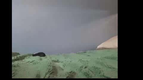 beobenshauna online show from 2, 1, 2025