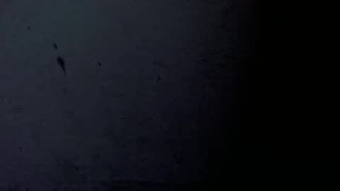 Bergon77 online show from 24, 1, 2025