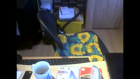 bersch1963 online show from 13, 2, 2026