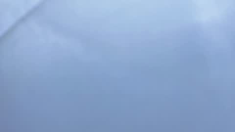 Snapshot of betty__davvis chatting on 6, 11, 2025 Betty online show from 6, 11, 2025