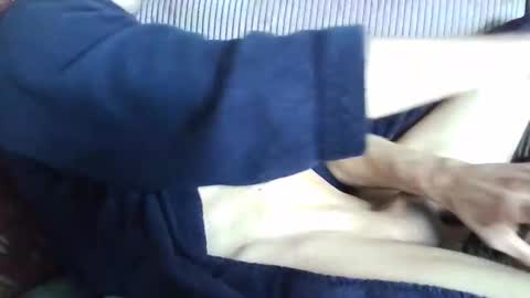 . online show from 14, 3, 2026