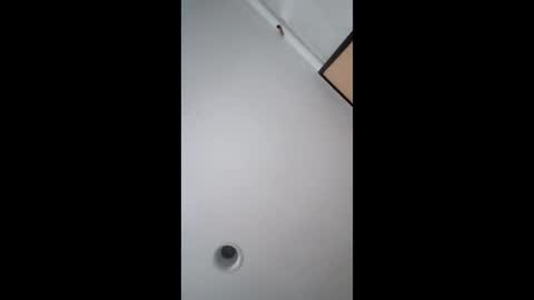 bgiamba21 online show from 17, 2, 2026