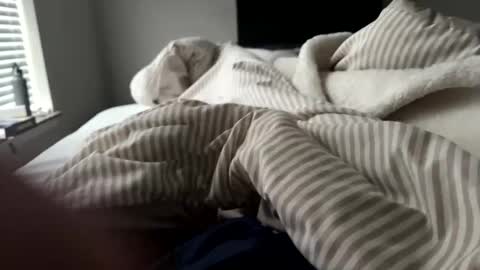 bgn111 online show from 1, 4, 2026