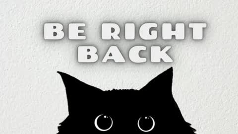 bibiana_js_ online show from 15, 2, 2026