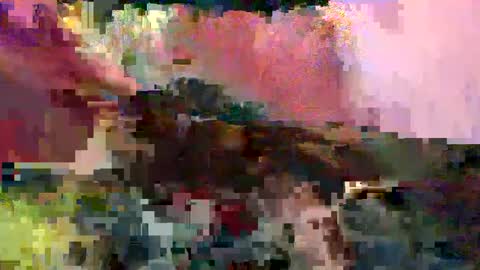 big9inchsnake online show from 5, 1, 2025