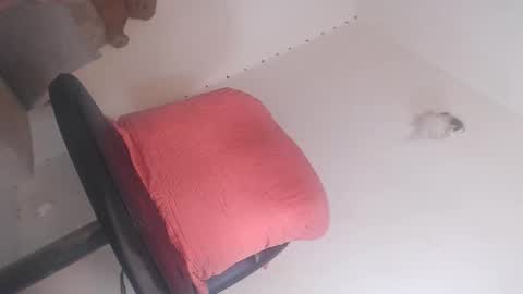 dashiell online show from 21, 3, 2026