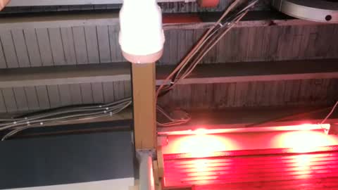 Straight Dave online show from 9, 10, 2025