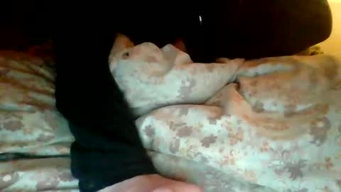 Snapshot of bigballs_dk chatting on 5, 1, 2026 bigballs_dk online show from 5, 1, 2026
