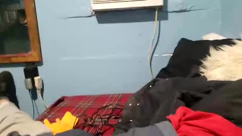 Snapshot of bigblu659 chatting on 9, 1, 2025 bigblu659 online show from 9, 1, 2025