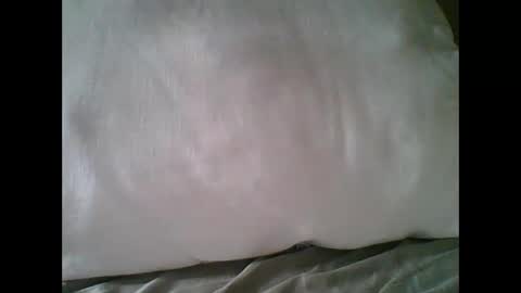 bigbravo337 online show from 22, 11, 2025