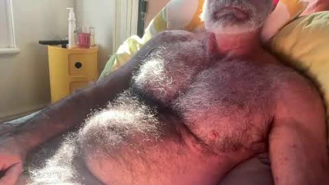 big bush online show from 13, 7, 2026