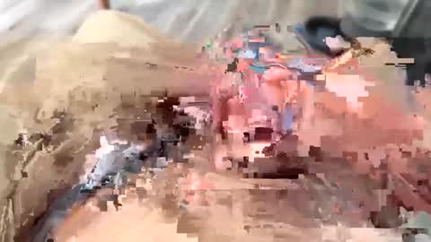 bigcockster207046 online show from 19, 9, 2025