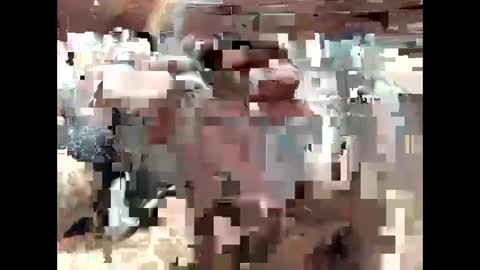 BigDaddykodack online show from 15, 9, 2025