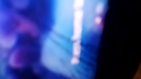 Rooster P online show from 4, 12, 2024