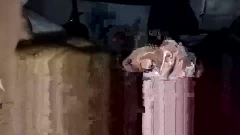 bigdickdaddy7201979564868 online show from 23, 11, 2025