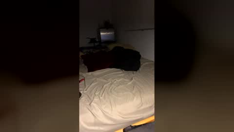 bigdickpapishampoo online show from 19, 12, 2025