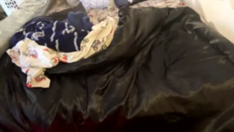 bigdickpapishampoo online show from 7, 2, 2026