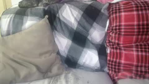 bigdicktrannynicole online show from 29, 1, 2025