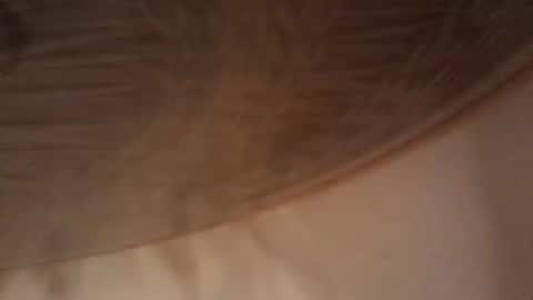 bigdmrp69 online show from 9, 1, 2025