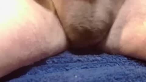 BigDog online show from 10, 2, 2025