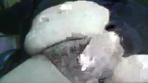 bigfish22222 online show from 6, 1, 2026