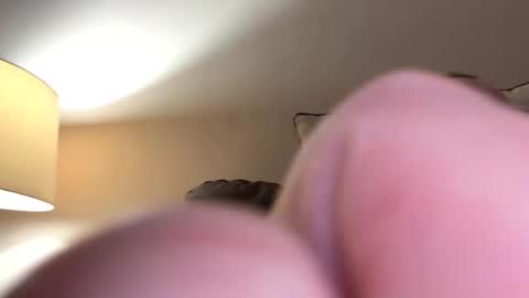 biggloves4bighands online show from 16, 11, 2025