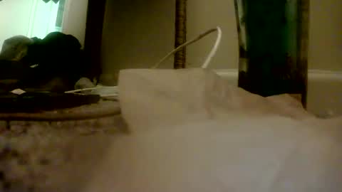 Snapshot of bigguypete1999 chatting on 16, 11, 2025 Peter Paul online show from 16, 11, 2025