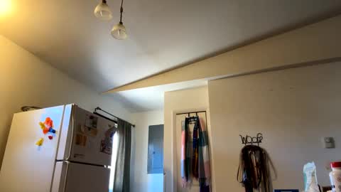Snapshot of bigheadaddy90 chatting on 27, 2, 2025 Daniel Noelia online show from 27, 2, 2025