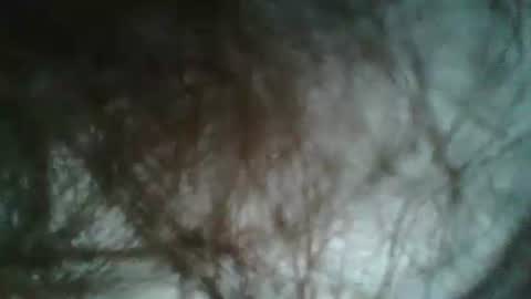 Snapshot of bigjames_chicago chatting on 5, 1, 2025 daddy online show from 5, 1, 2025